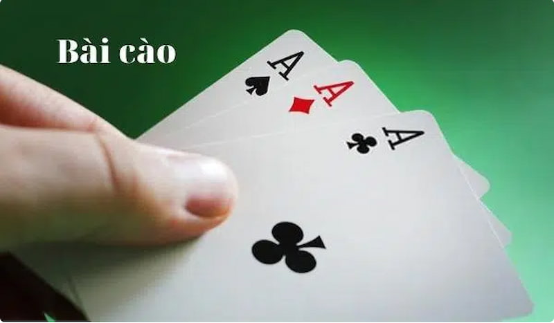 Những điều mà người chơi bài cào tố không nên bỏ qua