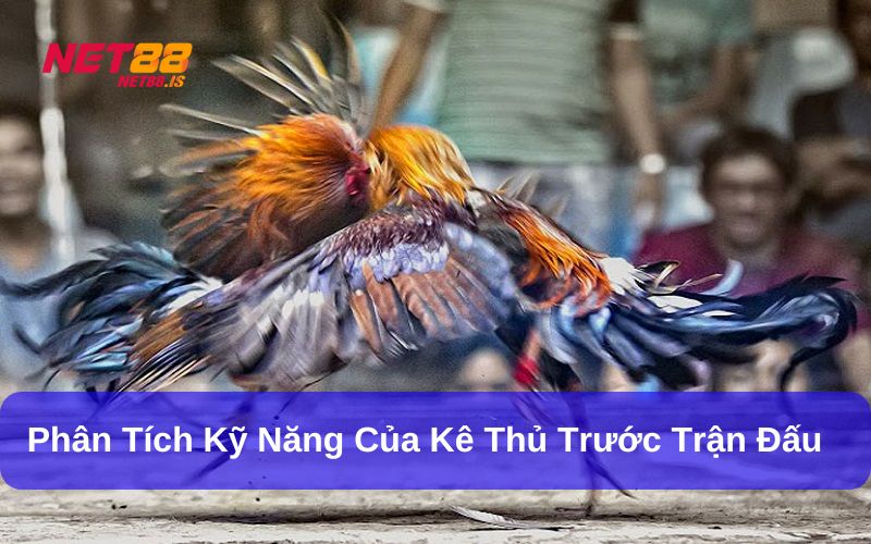 Kinh nghiệm chọn giống gà tre tốt